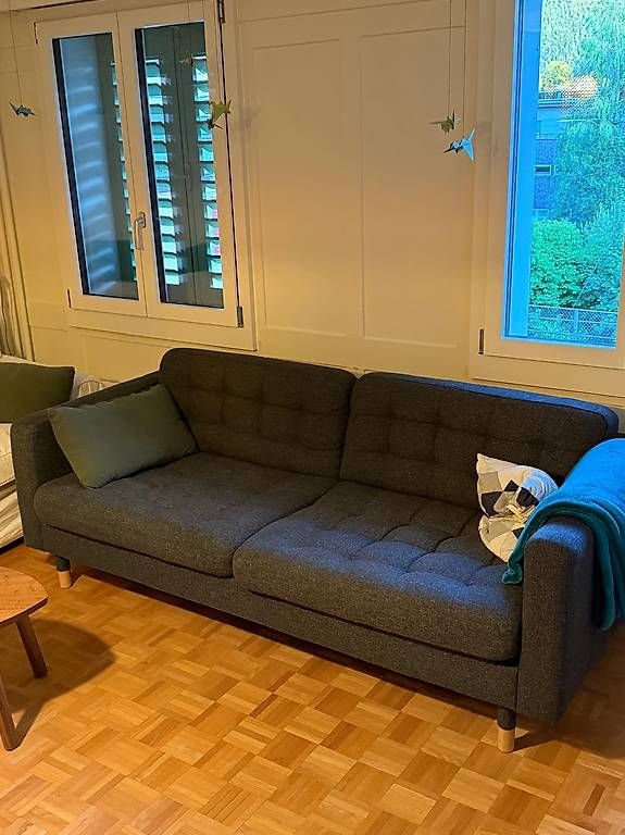 Sofas: 2-Sitzer Sofa – Gebraucht aus Schwyz von Fabian2004k 1