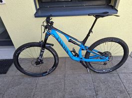 Canyon neuron CF 8 