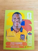 Panini FIFA World Cup ECU 9