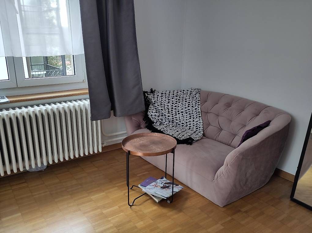 Divani: Elegantes rosa Sofa mit Samt-Oberfläche – Usato da Zürich venduto da dar_rd8t