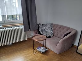 Elegantes rosa Sofa mit Samt-Oberfläche