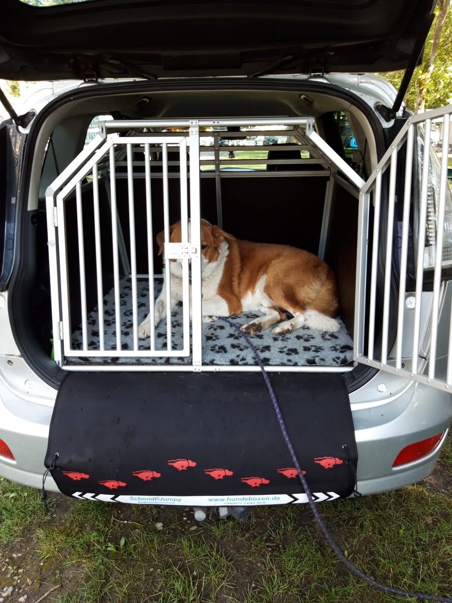 Käfige, Transport & Sicherheit: Hundebox  – Gebraucht aus Rüfenacht BE von Bastian14