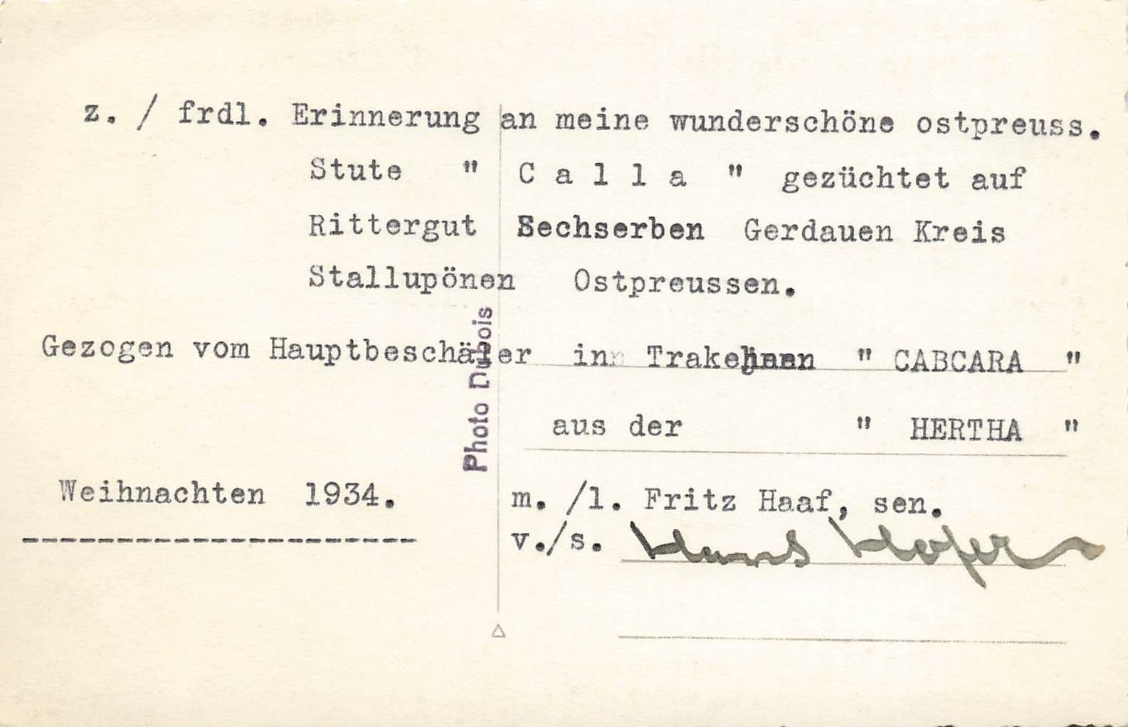 Cartoline postali: Ostpreussen Reiter mit der Stute Calla Rittergut Bechserben – Usato da Biasca venduto da Blenio71 1
