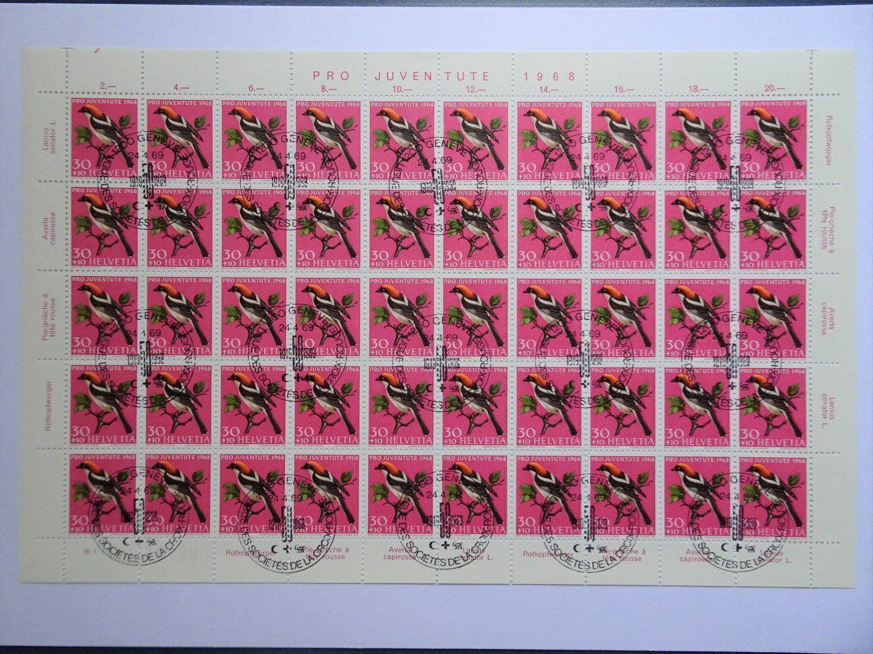 Tous les timbres: PJ 1968 – Neuf (Voir description) à Aadorf par Chnorli-Furz