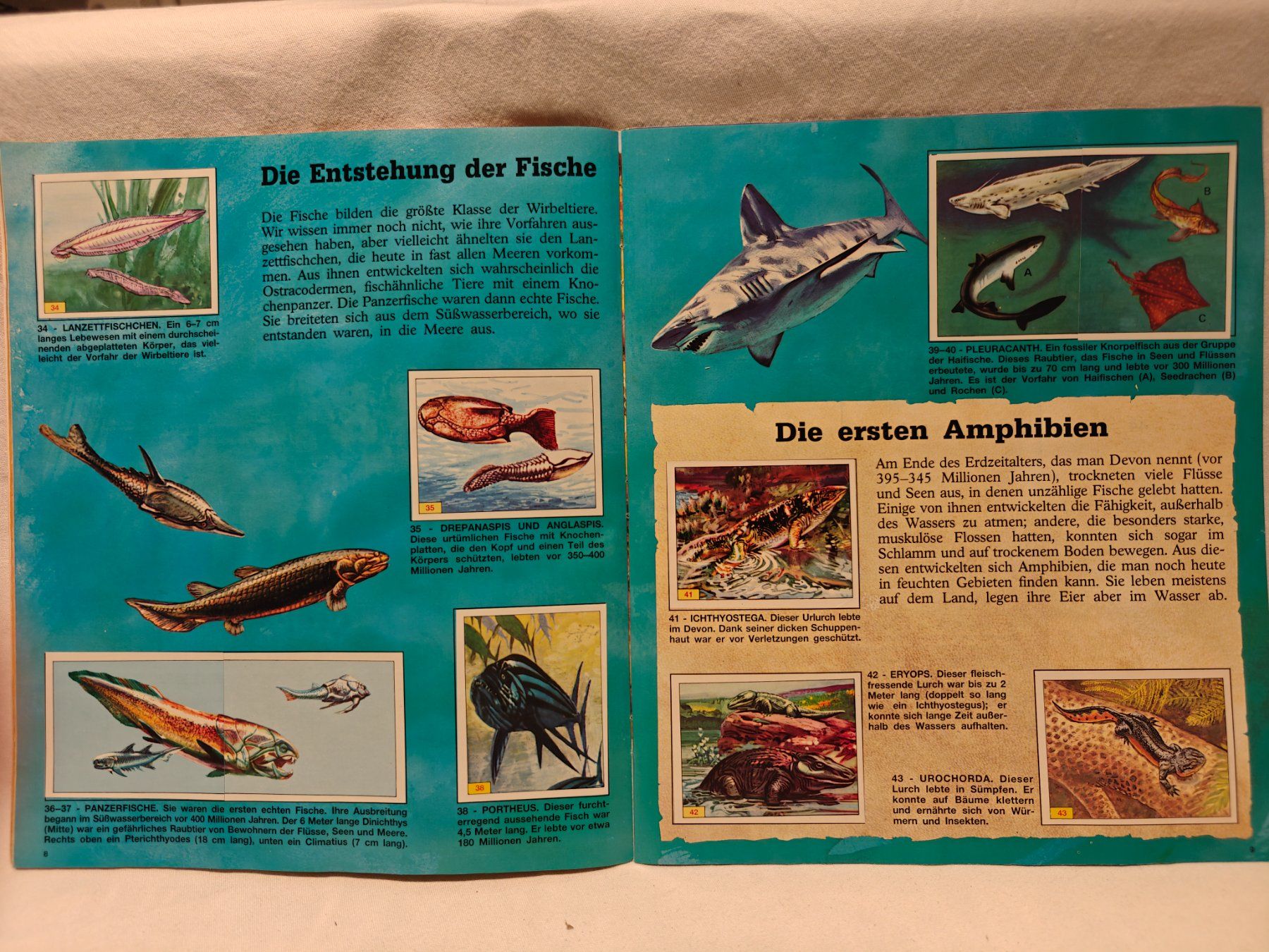 Panini Album: Tiere der Urzeit 1992 – Usato da Gutenswil venduto da Vulcano21 3