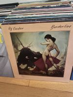 🎸🥁Vinyl-Schallplattensammlung, div. Genres der 70er & 80er