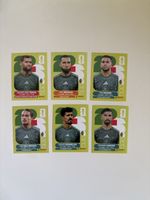 Panini:ALG 6,ALG 12,ALG 15,ALG 17,ALG 19,ALG 20