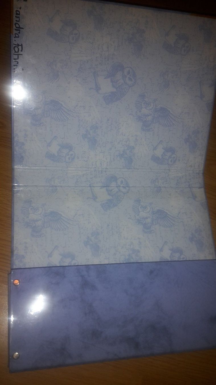 Raccoglitori: Harry Potter Sammelordner B28 – Usato da Schwarzenburg venduto da Flamingo07 1