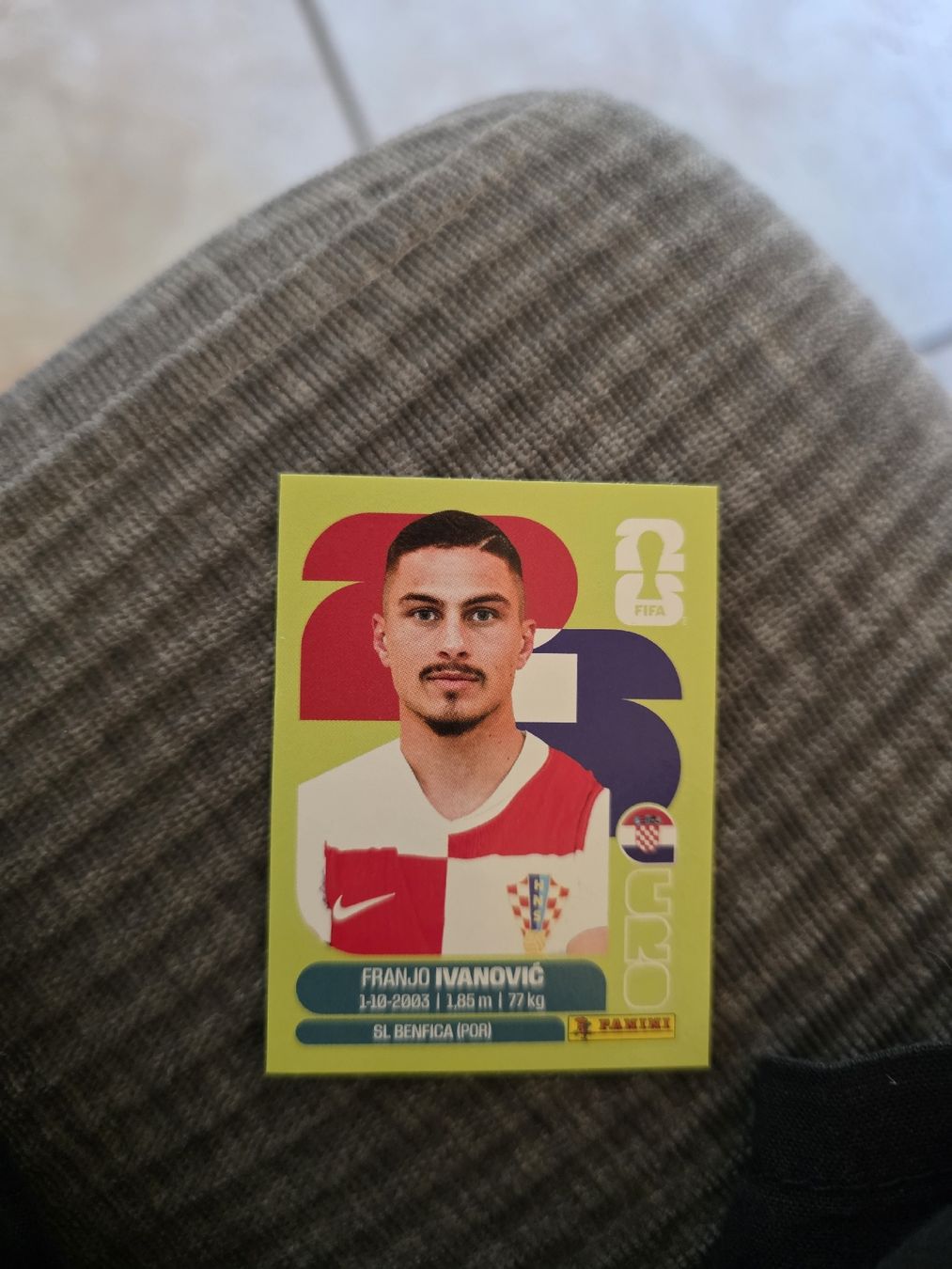 Panini Carte collezionabili: Panini WM 2026 CRO 20 Ivanovic – Nuovo (secondo la descrizione) da Romanshorn venduto da leeh78