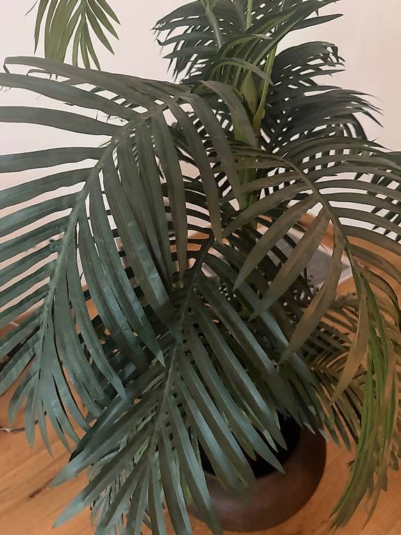 Pflanzen & Samen: Künstliche Palme mit Topf – Gebraucht aus Schlieren von sheila000 3