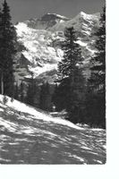 Wengen Berner Oberland,  Mettenalp Jungfrau, phot. E.  Gyger