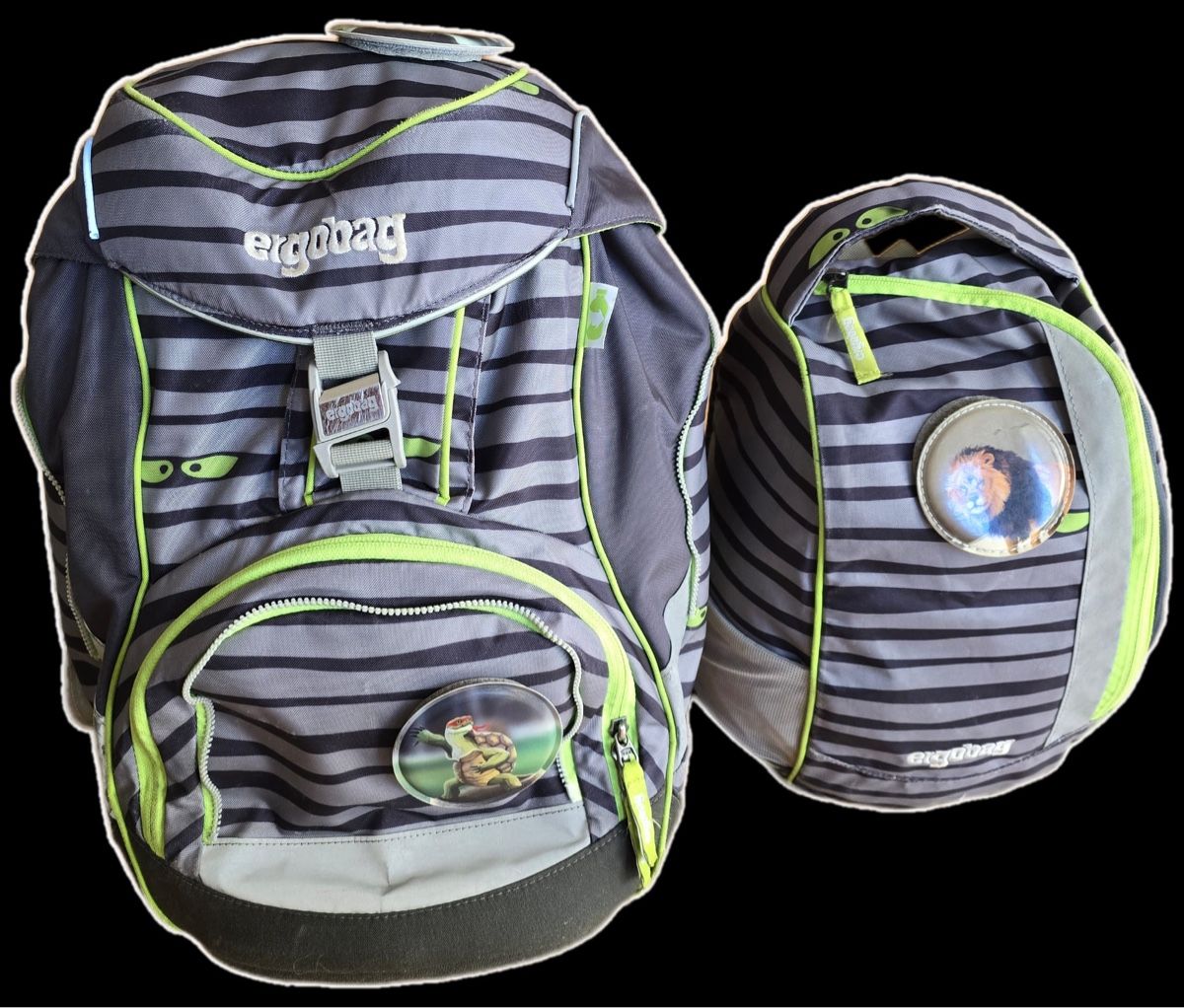 Ergobag Kindertaschen: ergobag Schulrucksack – Gebraucht aus Zürich von morgarten09