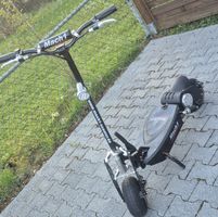 E-Scooter > Roller 500W