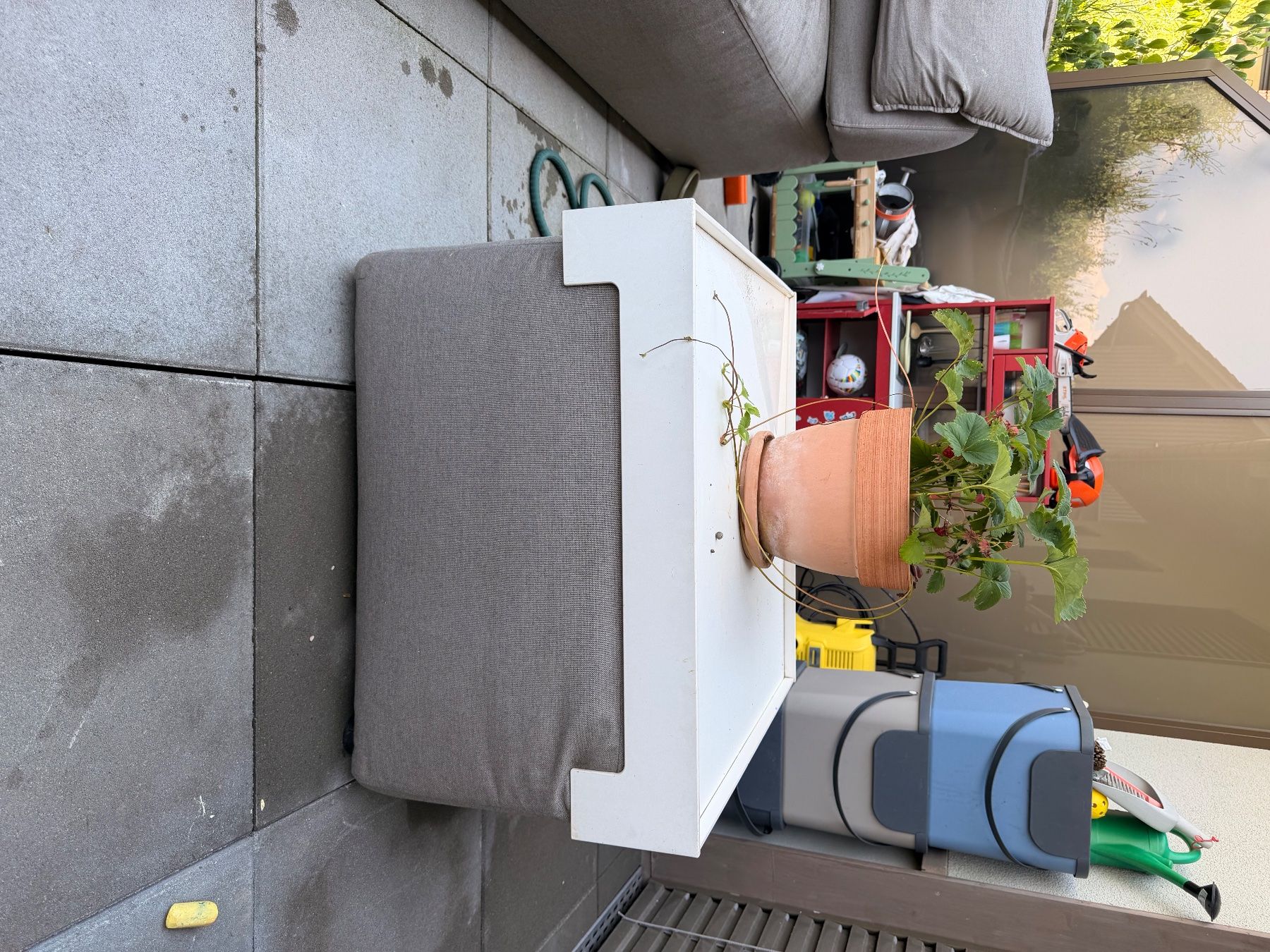 Divani: Ikono Gartenlounge – Usato da Baar venduto da lorena.m. 1