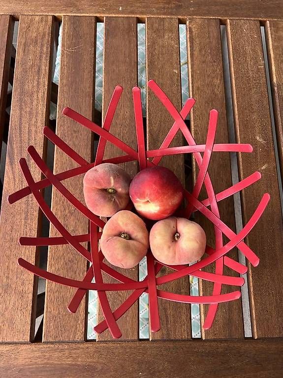 Piatti di portata: Coupe de fruits design rouge – Usato da Versoix venduto da L_armoire_d_isa 2
