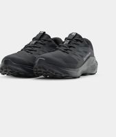 Salamon Laufschuhe unisex 40