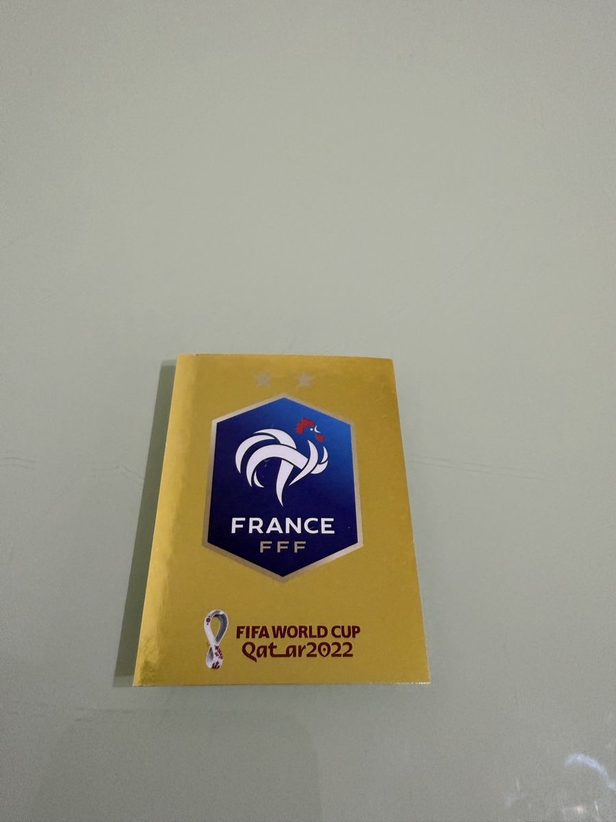 Panini Carte collezionabili: Panini Coupe du Monde 2022 – Usato da Renens VD venduto da Eduardo27. 4