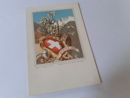 SCHWEIZ - EDELWEISS und BERGE