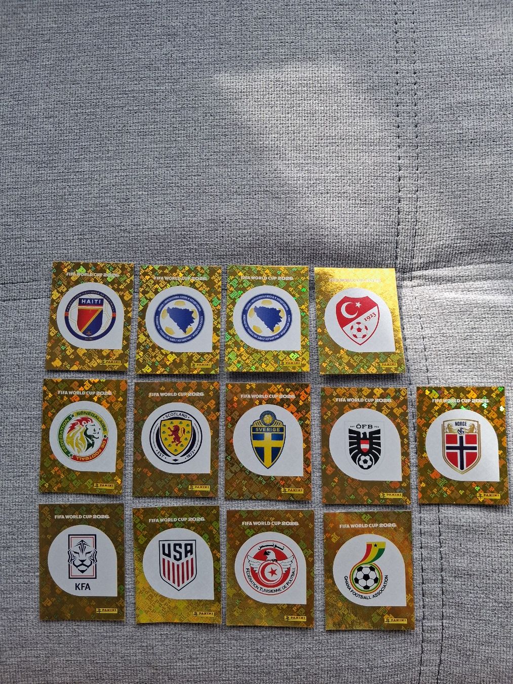 Panini Carte collezionabili: Panini Nationen Bundle 13 stück – Nuovo (secondo la descrizione) da St. Gallen venduto da Nitrol910