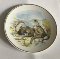 Otter Sammlerplatte 15cm - neu
