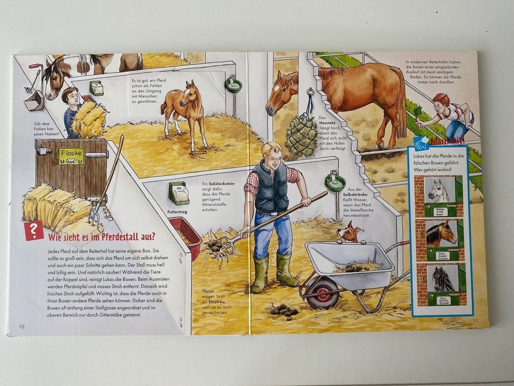 Libri: Was ist Was Junior Band 5 Pferde & Ponys – Usato da Mellingen venduto da Lapequenita 2