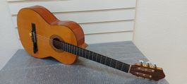 4/4 konzert gitarre Pro Arte GC130II mit tonabnehmer M-65cmm