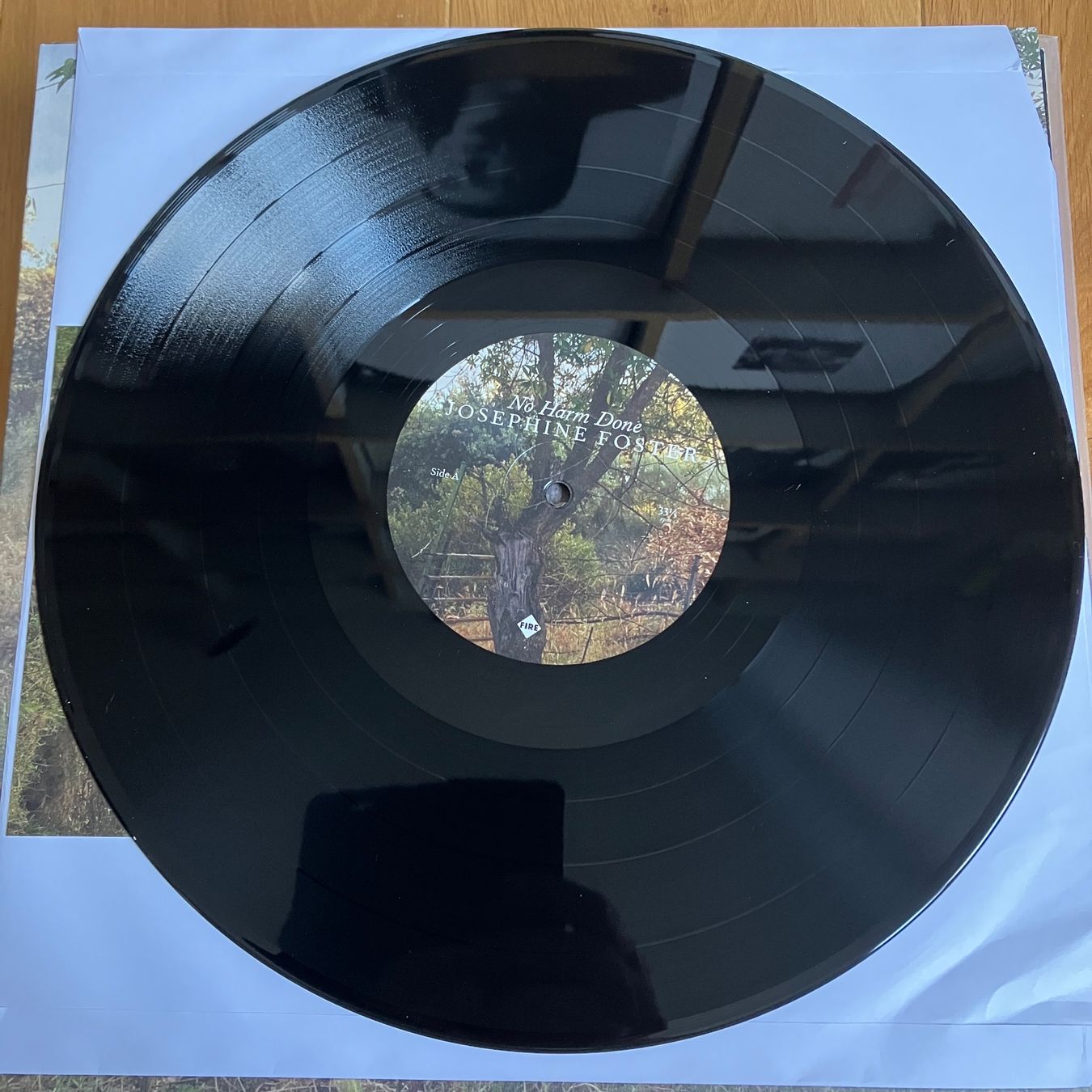 Schallplatten: Josephine Foster – No Harm Done – Gebraucht aus Altdorf UR von Metallic0 1