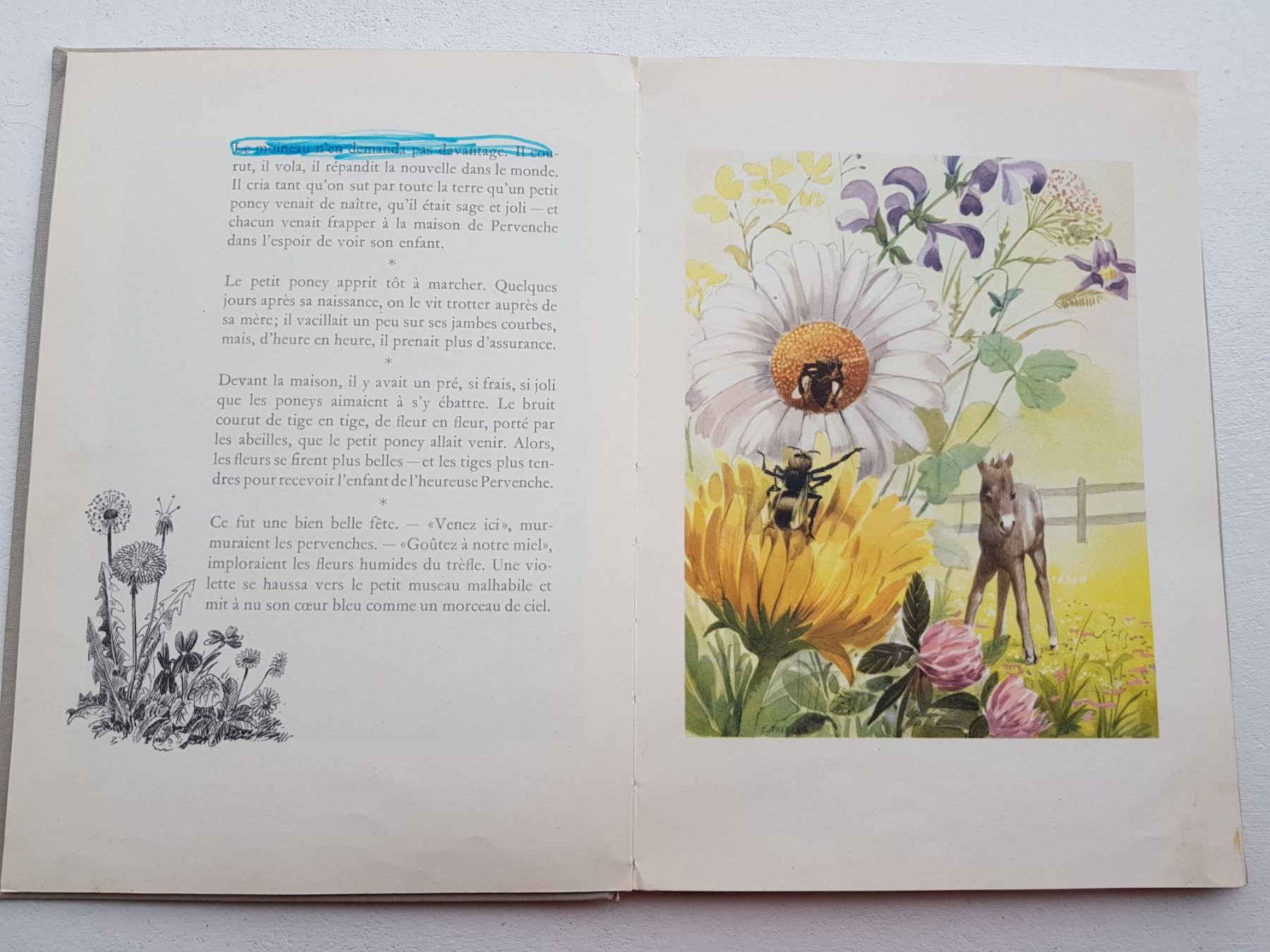 Libri: L'histoire du petit poney stop – Difettoso da Lausanne venduto da LasloH 2