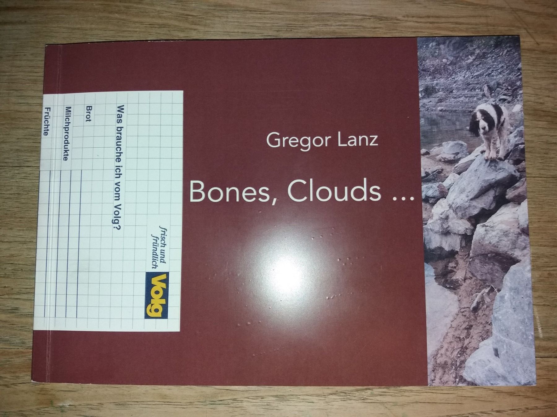 Bücher: GREGOR Lanz Bones, Clouds signiert  Art Brut !!! solothurn – Gebraucht aus Welschenrohr von Regool