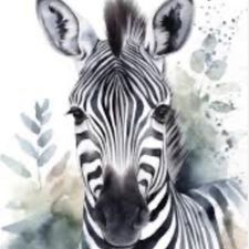 Profile image of Zebra1234