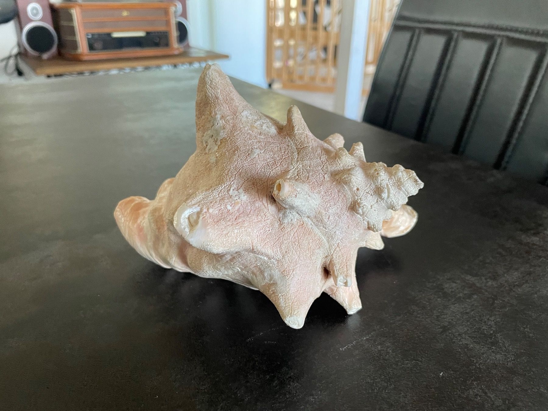 Figuren: Ancien Coquillage de Mer – Gebraucht aus Vallamand von Bricbracbroc82 3