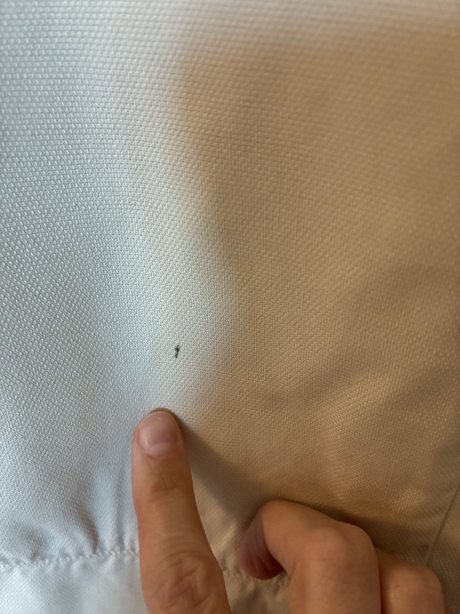 Camicette: Esmé Studios Bluse beige Grösse S – Usato da Romanshorn venduto da phe_qs2q 4