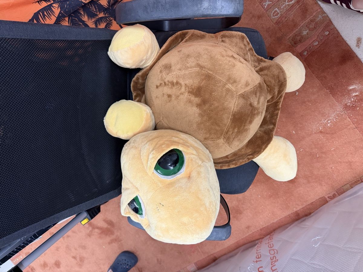 Giocattoli: Plüsch Schildkröte – Nuovo (secondo la descrizione) da Uster venduto da oranger_pulli 2