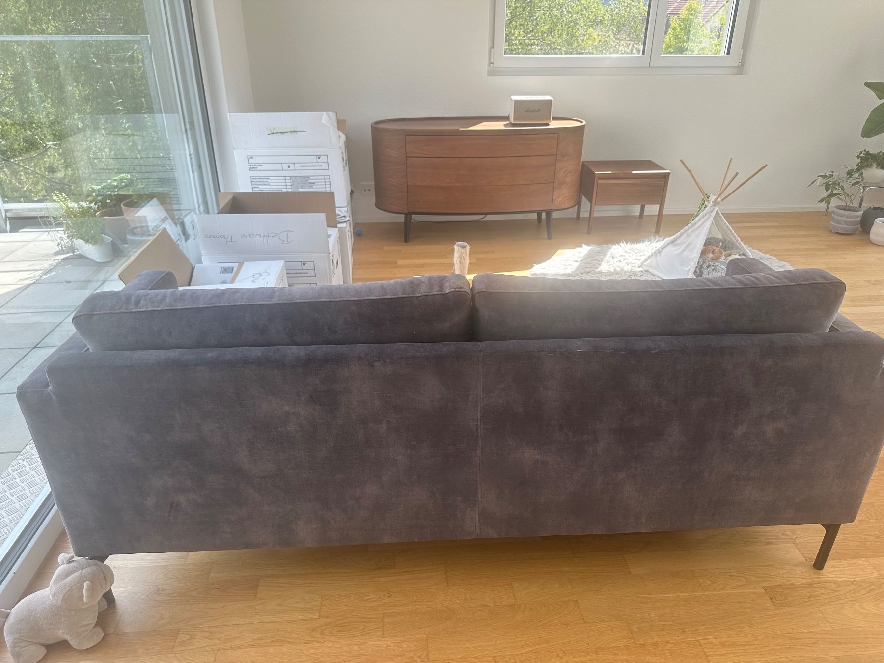Livique Sofas: Sofa dark grey – Gebraucht aus Buchs ZH von jil_p79h 2