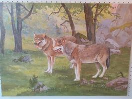 Kurti "2 Schäferhunde" Gemälde