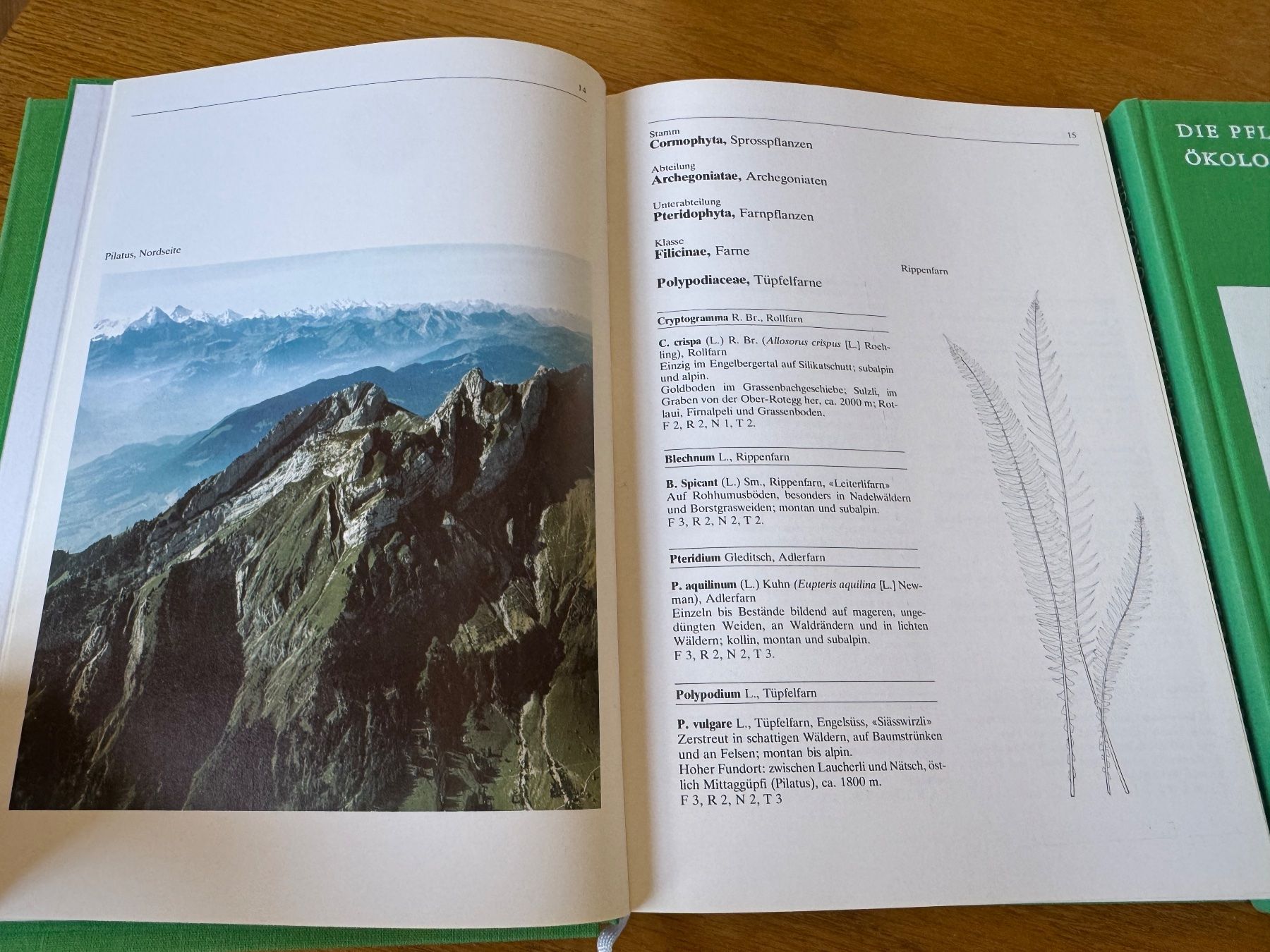 Libri: Die Pflanzenwelt in Obwalden, Leo Lienert – Usato da Buonas venduto da ddaw64 2