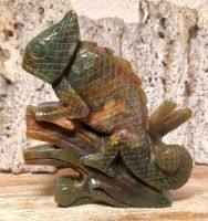 Chameleon aus Ozeanjaspis