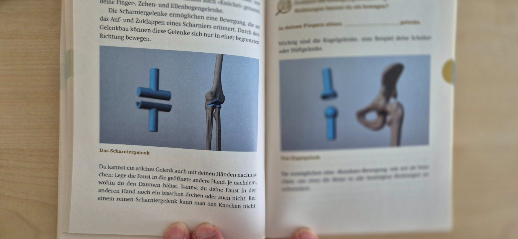 Bücher: Das Körper ABC des kleinen Medicus – Neu (gemäss Beschreibung) aus Rothenburg von Ajax111 7