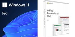 Microsoft Windows 11 Pro & Office 2019 Professional Plus