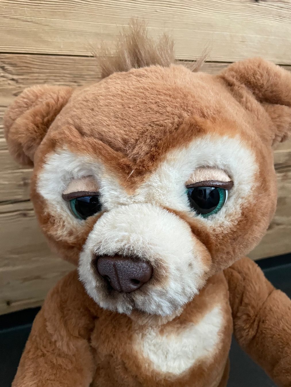 FurReal Giocattoli: FurReal Cubby Bär – Usato da Homburg venduto da Vlinder3 2