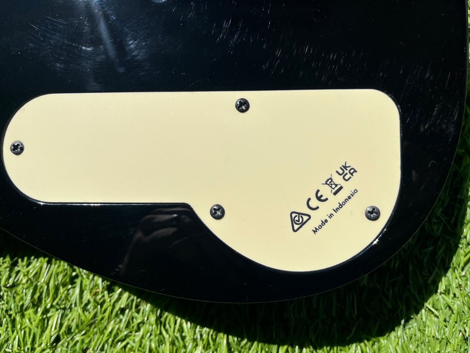 Ibanez Strumenti musicali: Ibanez PGM50 – Usato da Windisch venduto da Daredevil7 5