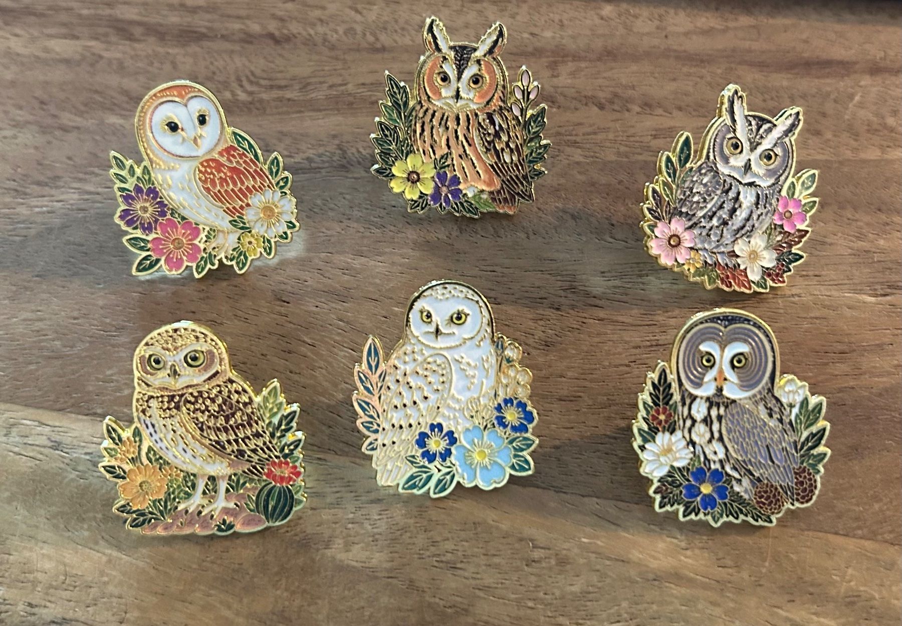 Placchette & Badge: 6x Pin Eulen – Nuovo e nell'imballaggio originale da Geneve venduto da vane267