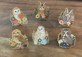 6x Pin Eulen