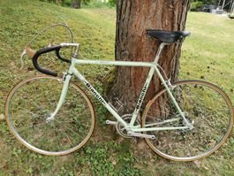 Bianchi Rennvelo 