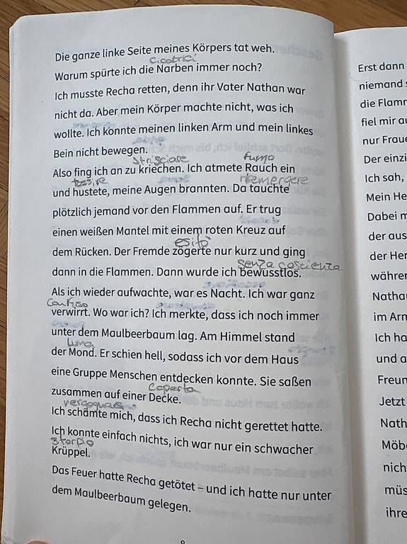 Bücher: Libro Nathan und sei e Kinder Mirjam Pressler – Gebraucht aus Giubiasco von and_85fp 3
