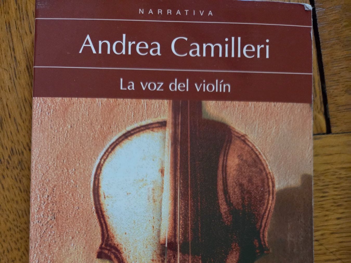Libri: Perfekt gepflegte spanische Literatur – Usato da Zürich venduto da Anja67 3
