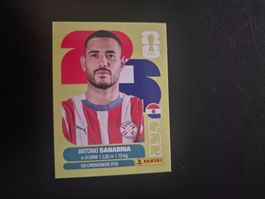 Panini WM 26 PAR 20