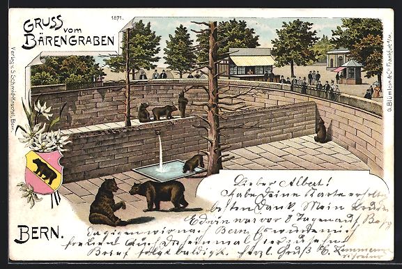 Cartoline postali: Litho Bern, Blick in den Bärengraben – Usato da Berlin venduto da bartko-reher
