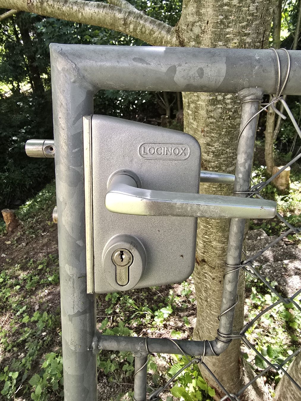 Fendivista: Gartentor mit Loginex Schloss, robust & sichere – Usato da Schönengrund venduto da XLOS 1