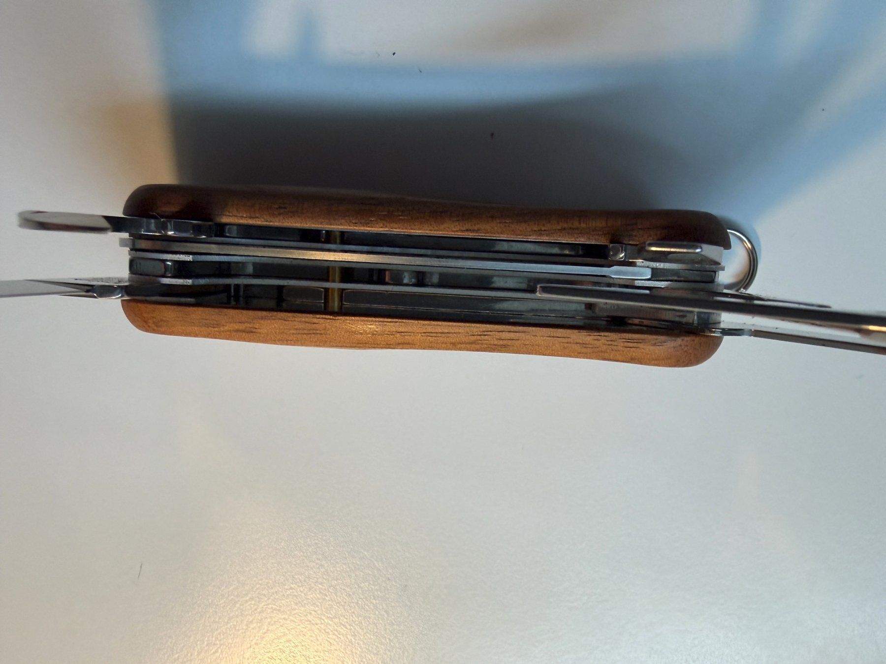 Wenger Coltelli tascabile: Wenger Evowood Sackmesser, Taschenmesser – Usato da Langnau am Albis venduto da Danig0 5